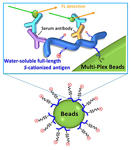 Monitoring of antitumor immune response by MUSCAT-Assay