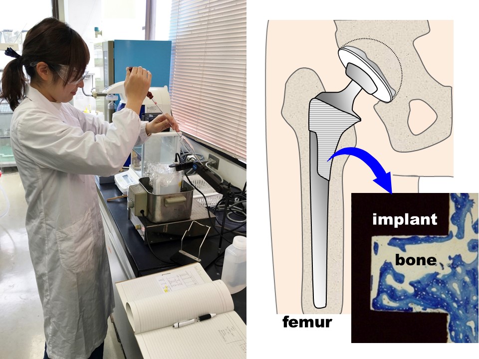 Biomaterials Engineering