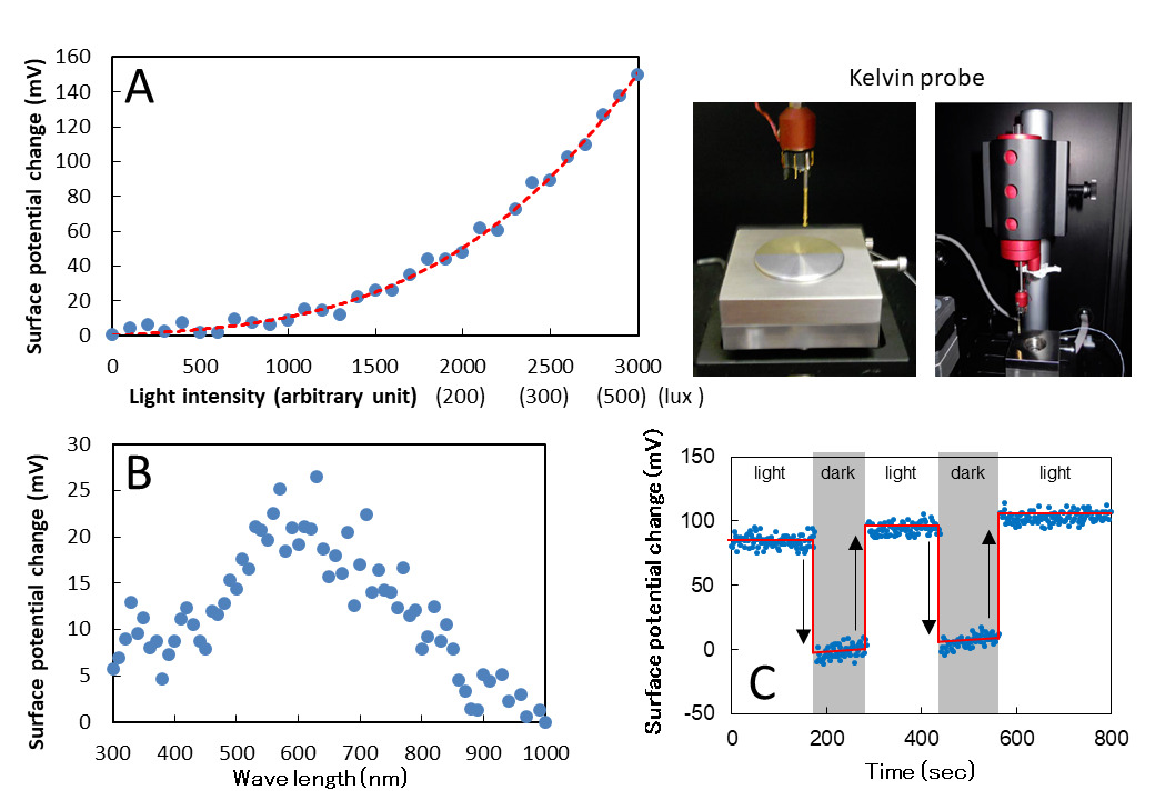 Investigator-initiated first-in-human clinical trial of photoelectric dye-coupled thin film retinal prosthesis