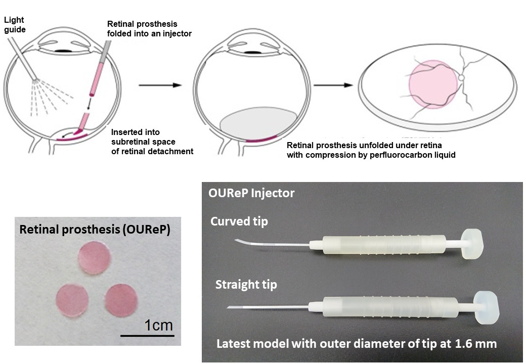 Regenerative and Reconstructive Medicine（Ophthalmology）